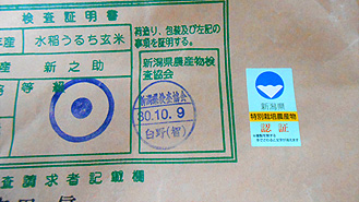 �V�����Y ���ʍ͔|�ā@�V�V��