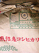 �V���Y�����R�V�q�J��