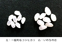 ���̂��̈�