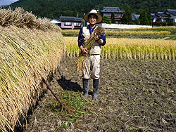 ����Y�V���������_��R�V�q�J��