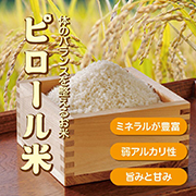 ����Y�s���[���ăR�V�q�J��